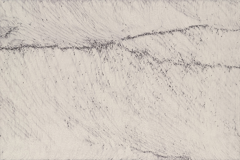 Rainy brother, ball pen on paper, 61.3cm(h)x91.7cm (w),2008